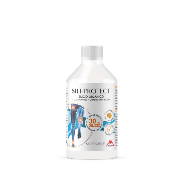 Sili-protect 500 ml - Intersa